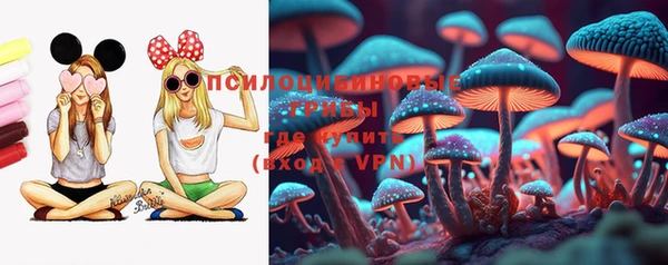 мяу мяу мука Гусев
