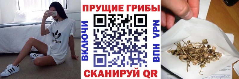 Галлюциногенные грибы Psilocybe  Купить закладки  Ворсма 